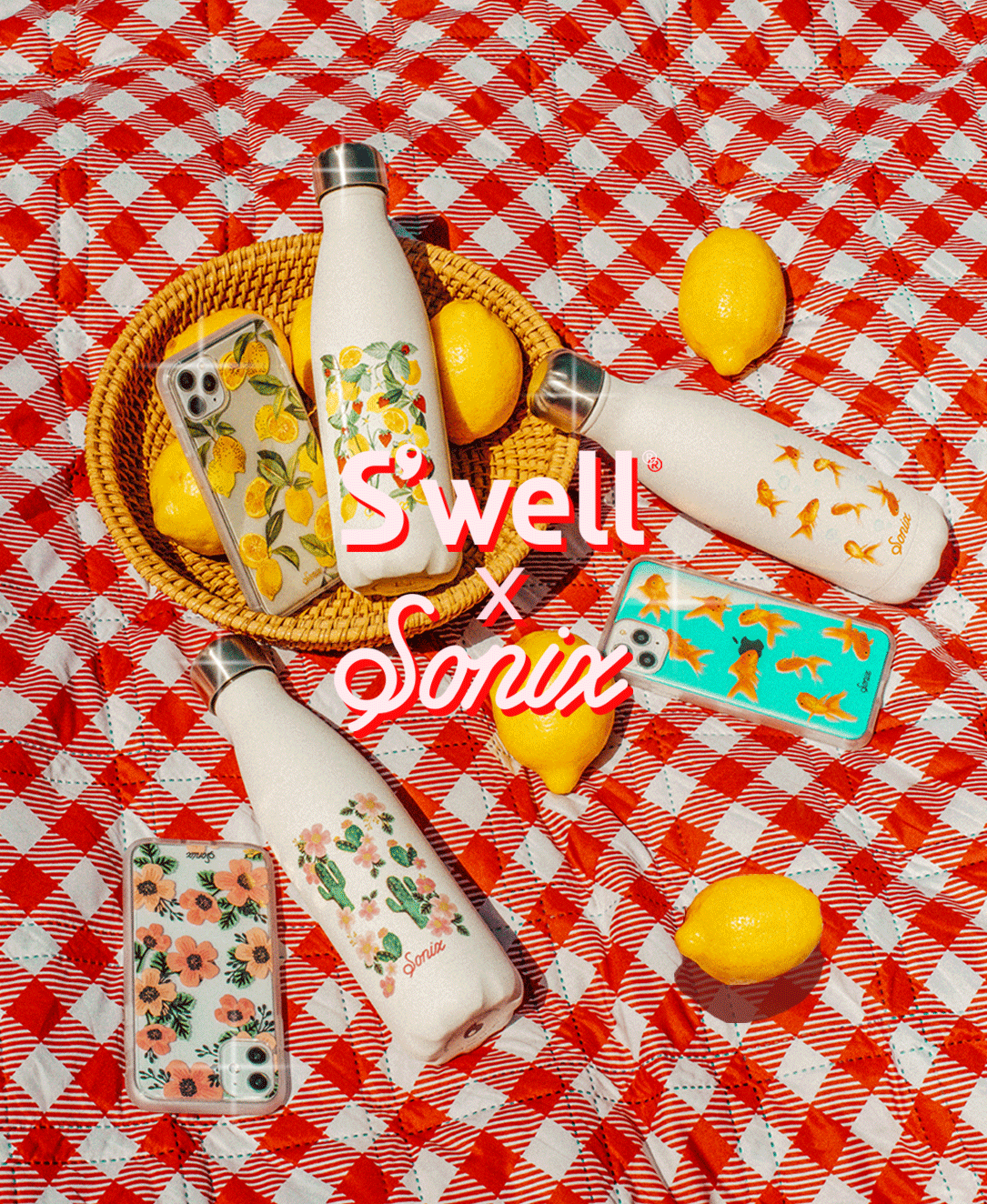 Hydration Just Got Cuter